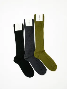 College Ribbed Socks